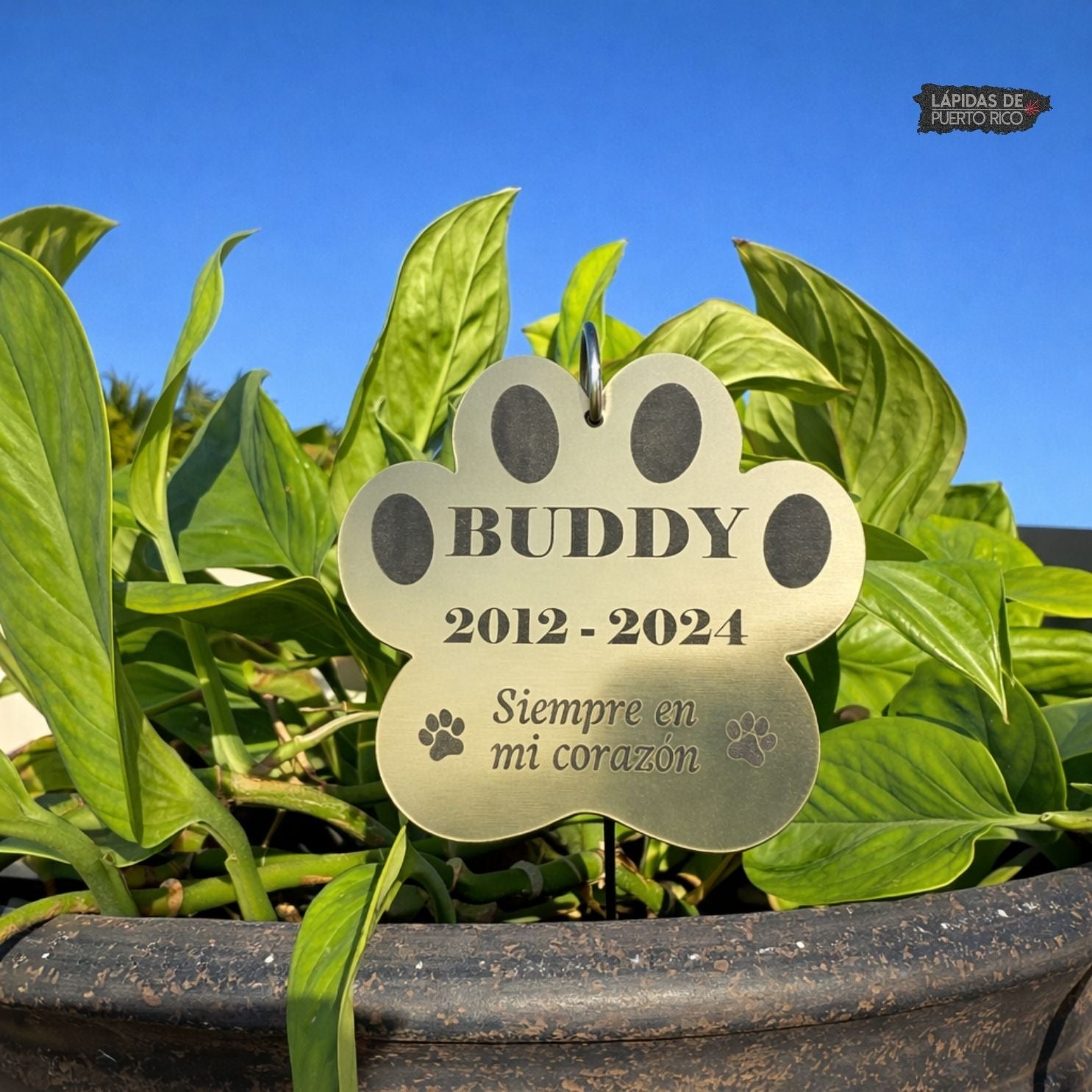 Mini Placa Conmemorativa Huella de Perro – Exterior Personalizada