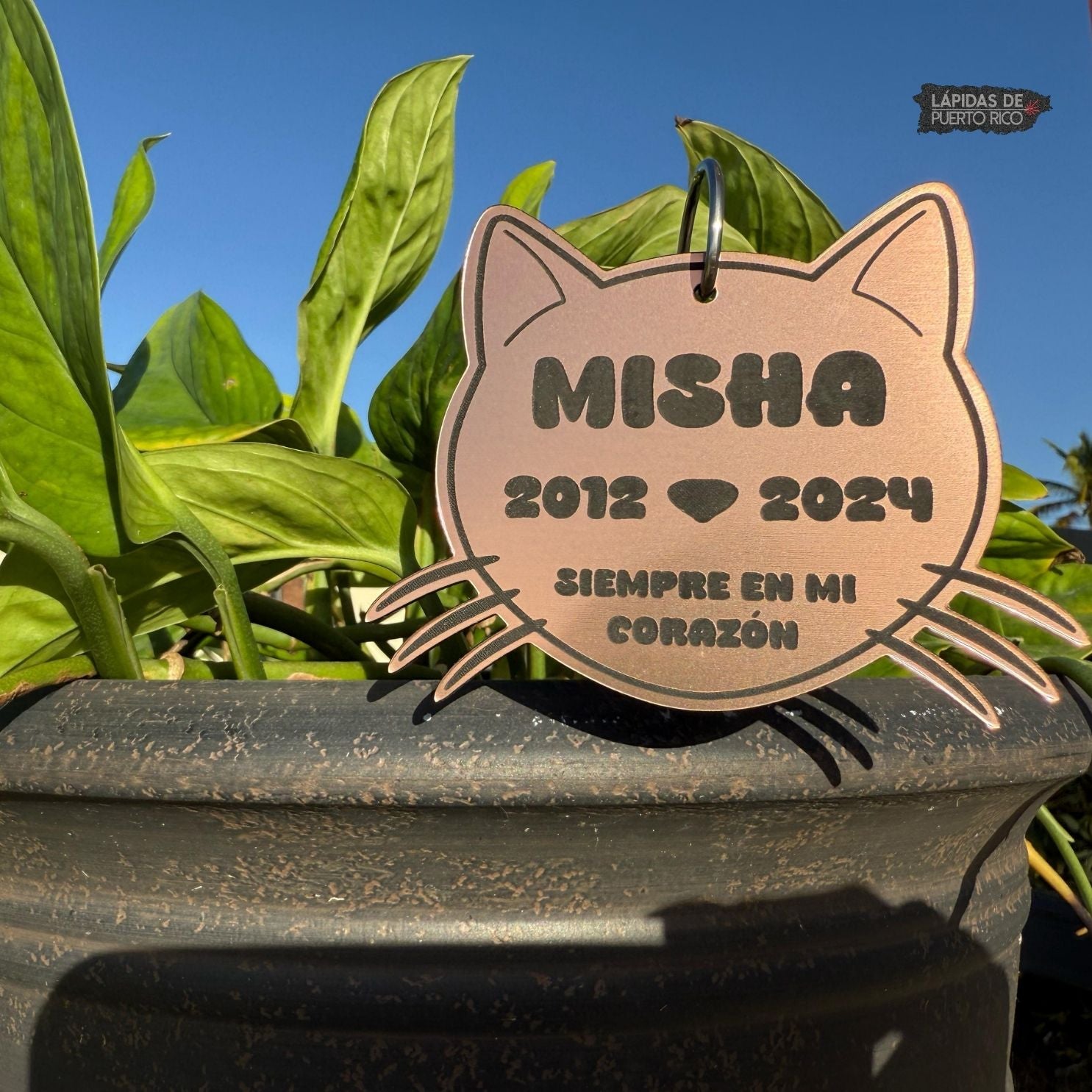 Mini Placa Conmemorativa para Gato – Exterior Personalizada
