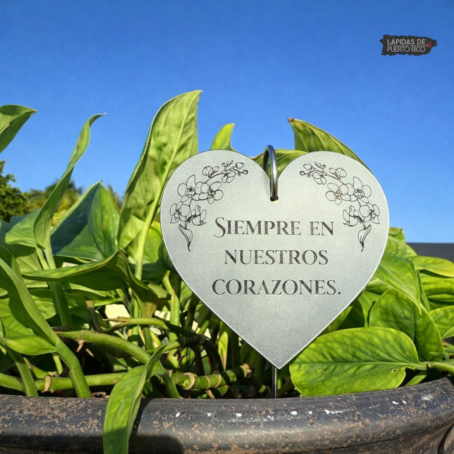 Mini Placa Conmemorativa en Forma de Corazón – Exterior Personalizada