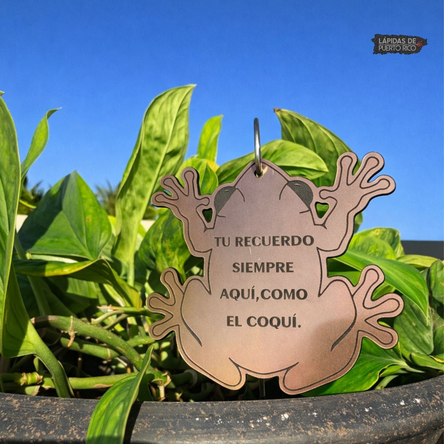 Mini Placa Conmemorativa Coquí – Exterior Personalizada