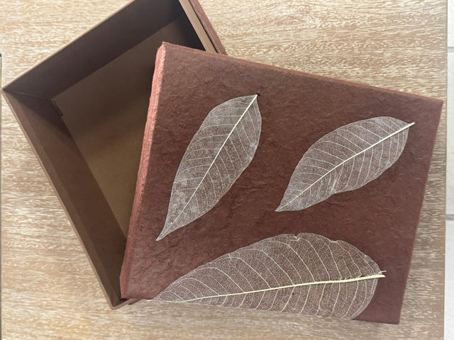 Urna Biodegradable Personalizada – Grabado Incluido