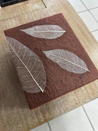 Urna Biodegradable Personalizada – Grabado Incluido